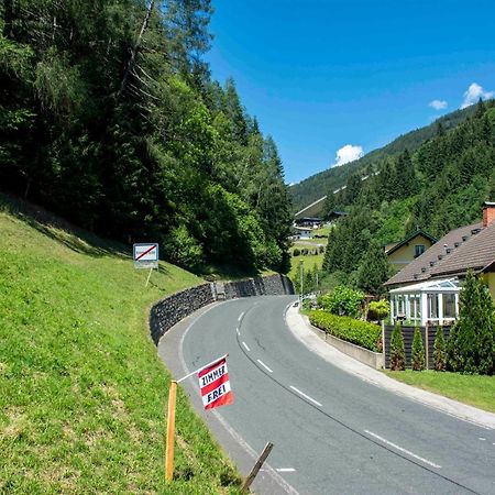 Appartamento Haus Kremsbruecke Kremsbrucke Esterno foto